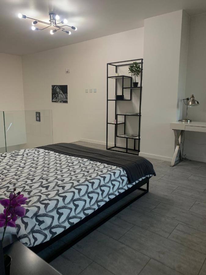 Ekskluzywny Penthouse Z Ogrodem W Centrum Lodzi Dış mekan fotoğraf