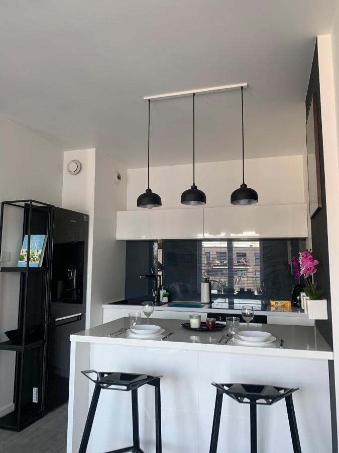 Ekskluzywny Penthouse Z Ogrodem W Centrum Lodzi Dış mekan fotoğraf