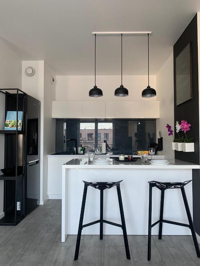 Ekskluzywny Penthouse Z Ogrodem W Centrum Lodzi Dış mekan fotoğraf