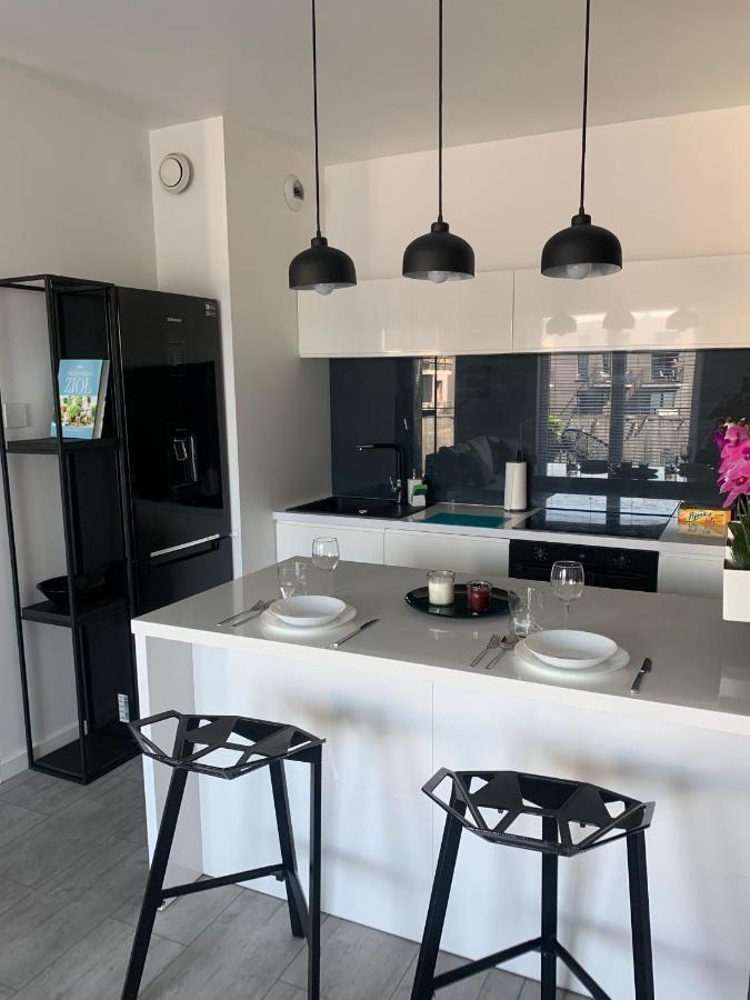 Ekskluzywny Penthouse Z Ogrodem W Centrum Lodzi Dış mekan fotoğraf