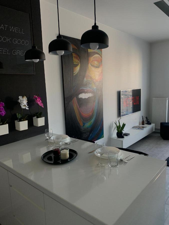 Ekskluzywny Penthouse Z Ogrodem W Centrum Lodzi Dış mekan fotoğraf