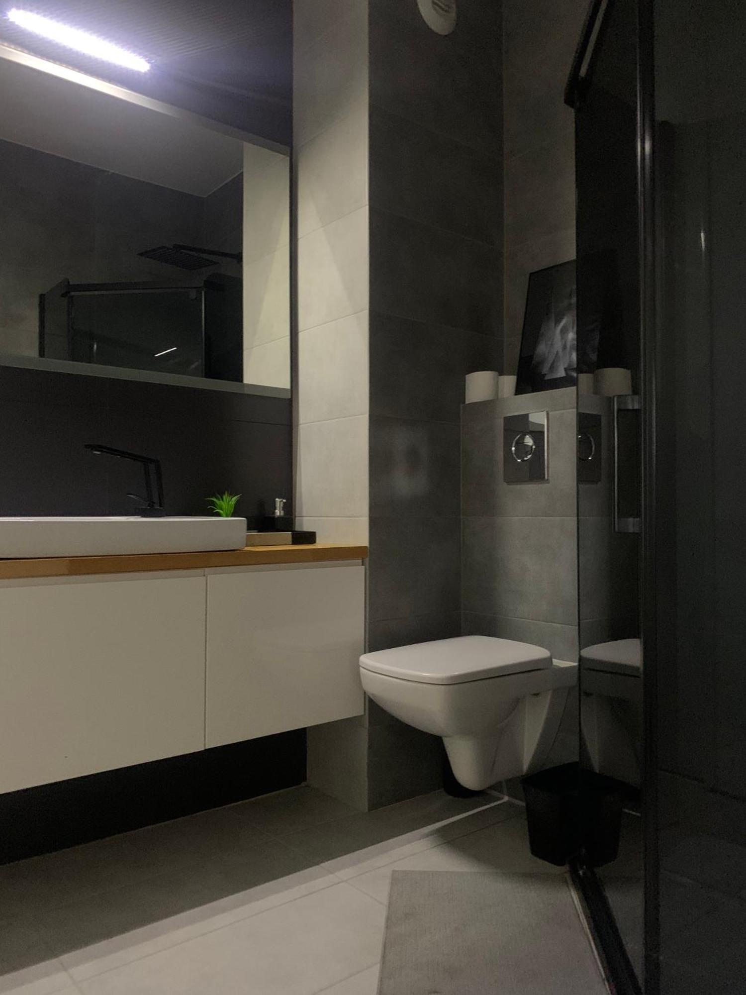 Ekskluzywny Penthouse Z Ogrodem W Centrum Lodzi Dış mekan fotoğraf