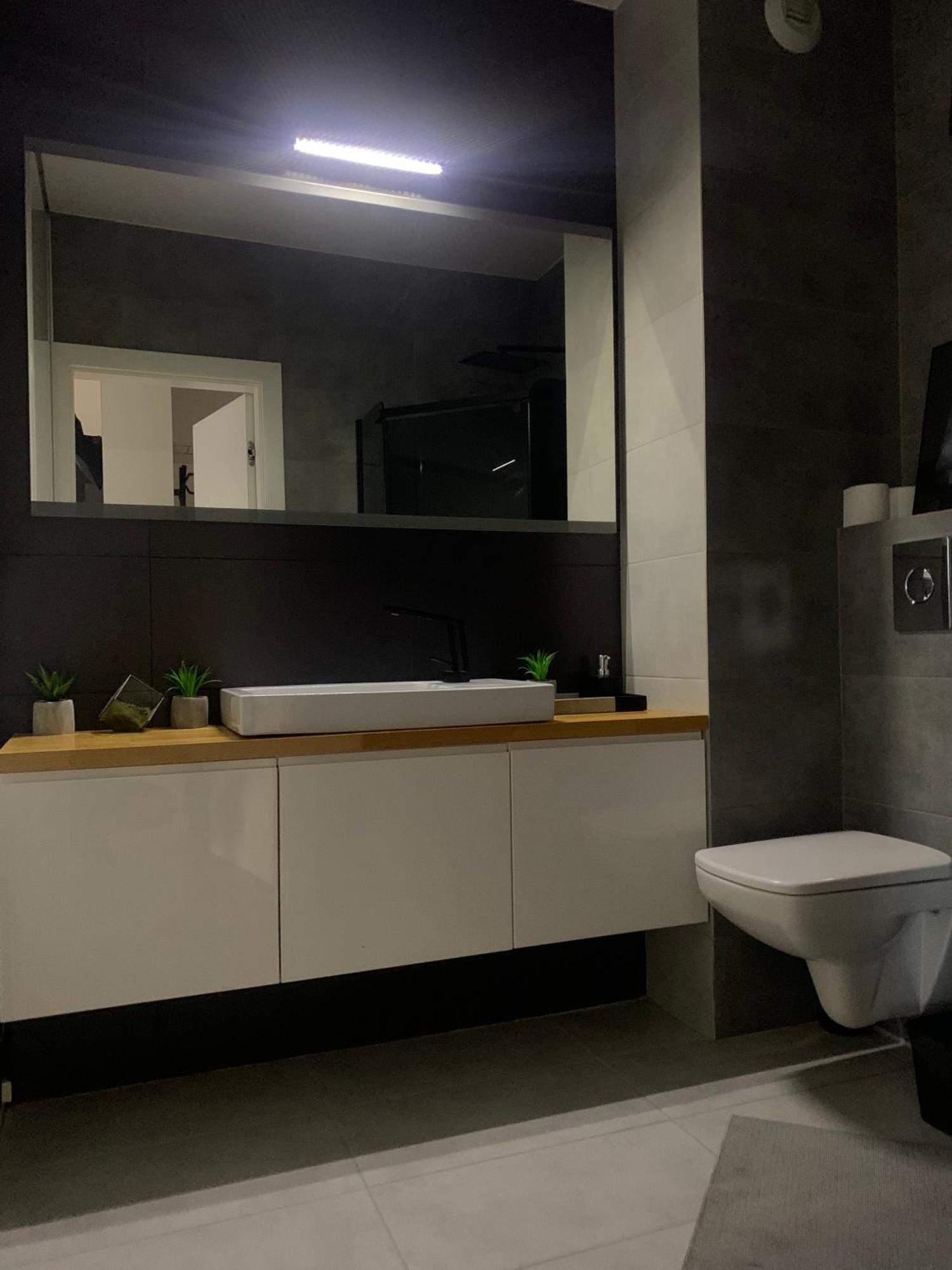Ekskluzywny Penthouse Z Ogrodem W Centrum Lodzi Dış mekan fotoğraf